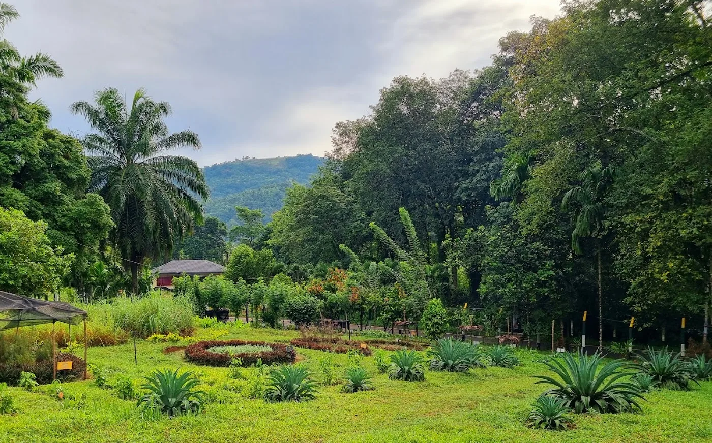 Ayurvedischer Gewürzgarten-Spaziergang