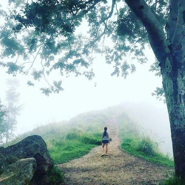 Horton Plains und World's End