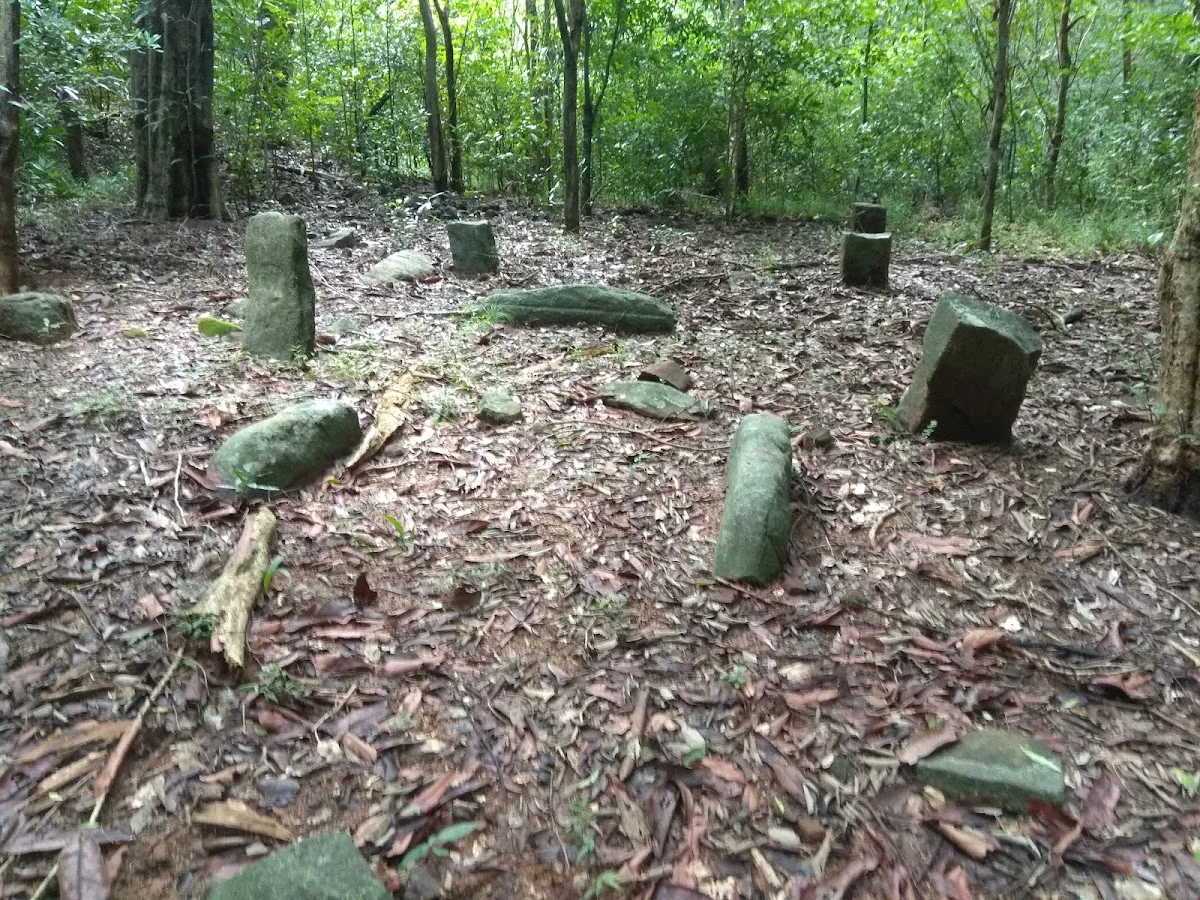 Archäologischer Wald Kaludiya Pokuna