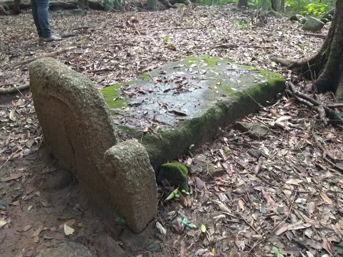 Archäologischer Wald Kaludiya Pokuna