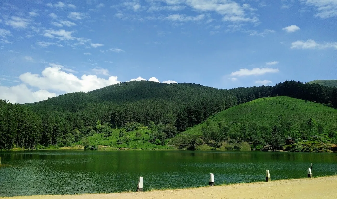 Waldbaden in den Knuckles