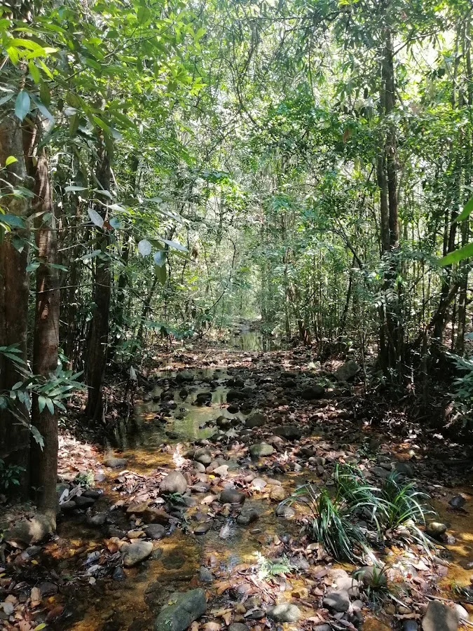Makandawa-Waldwanderung