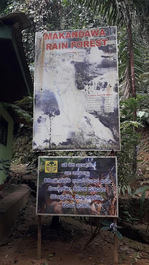 Makandawa-Waldwanderung