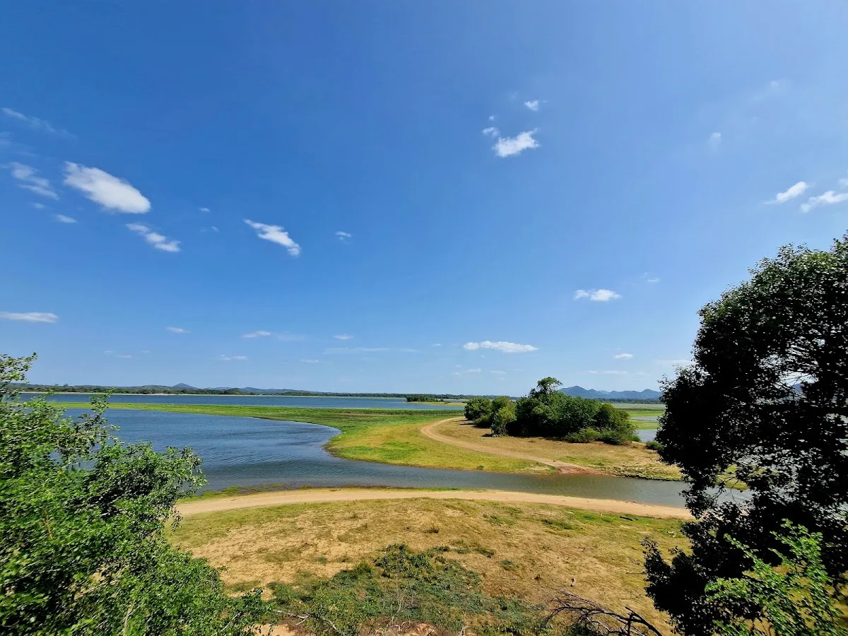 Minneriya-Morgen-Vogelsafari