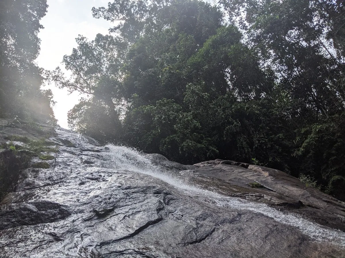 Szenischer Wasserfall- und Naturpool-Halbtag