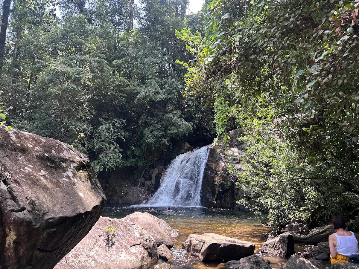 Achtsamkeitswanderung in Sinharaja