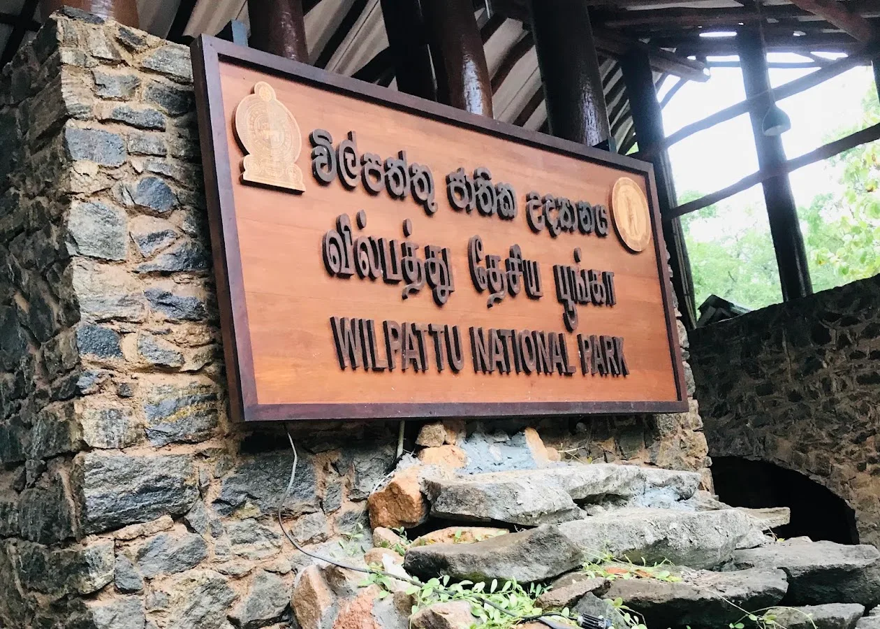 Wilpattu-Wildnis-Safari