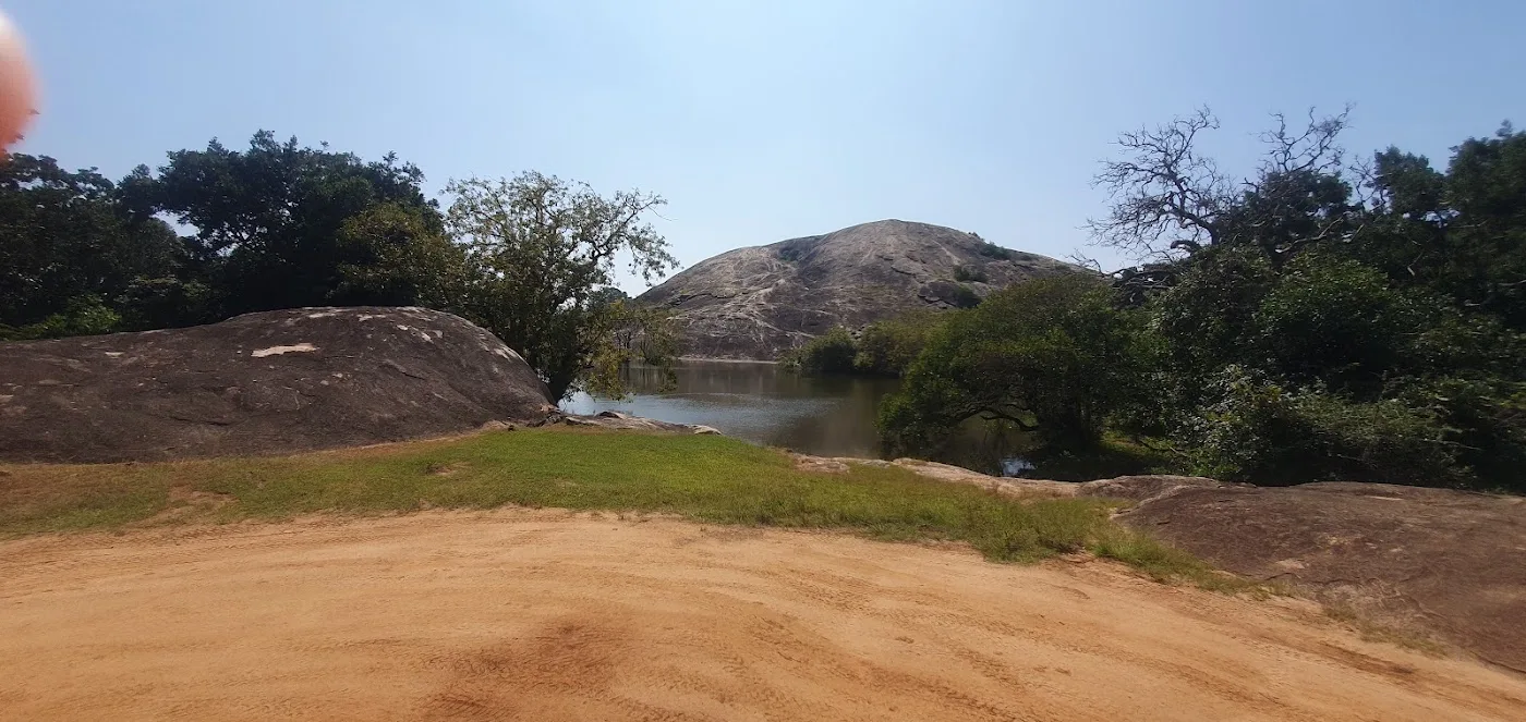 Yala-Ganztages-Safari
