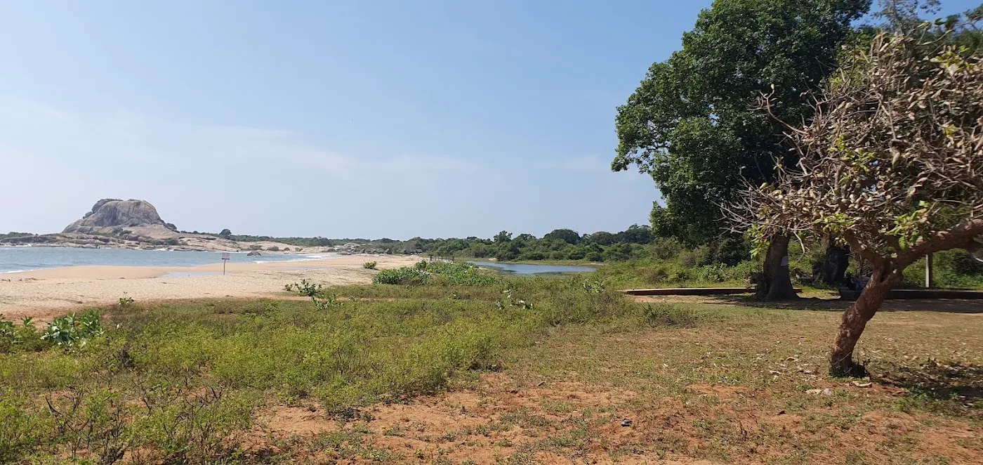 Yala-Ganztages-Safari